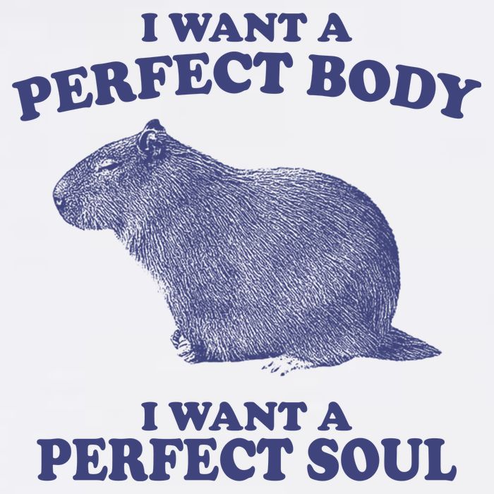 I Want A Perfect Body I Want A Perfect Soul Capybara Wool Snapback Cap