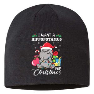 I Want A Hippopotamus For Christmas Hippo Christmas Pajamas Sustainable Beanie