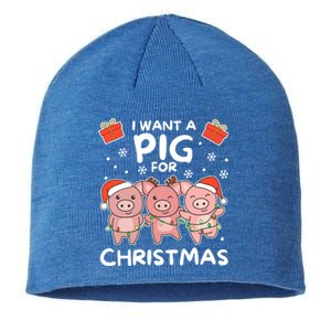 I Want A Pig For Christmas Cute Pigs Gift Sustainable Beanie