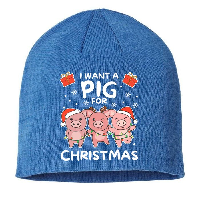 I Want A Pig For Christmas Cute Pigs Gift Sustainable Beanie