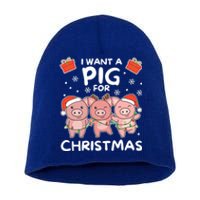 I Want A Pig For Christmas Cute Pigs Gift Short Acrylic Beanie