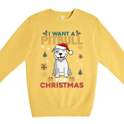 I Want A Pitbull For Christmas Cute Dog Lover Pajama Gift Premium Crewneck Sweatshirt