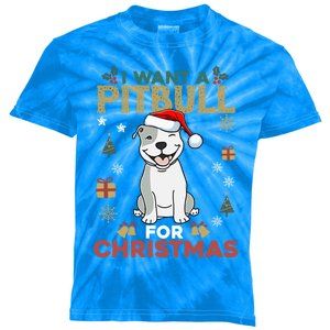 I Want A Pitbull For Christmas Cute Dog Lover Pajama Gift Kids Tie-Dye T-Shirt