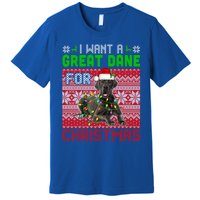 I Want A Great Dane For Christmas Santa Dog Lover Owner Meaningful Gift Premium T-Shirt