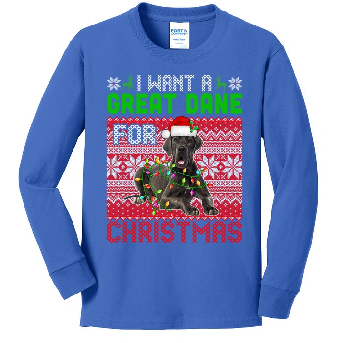 I Want A Great Dane For Christmas Santa Dog Lover Owner Meaningful Gift Kids Long Sleeve Shirt