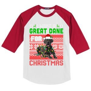 I Want A Great Dane For Christmas Santa Dog Lover Owner Meaningful Gift Kids Colorblock Raglan Jersey