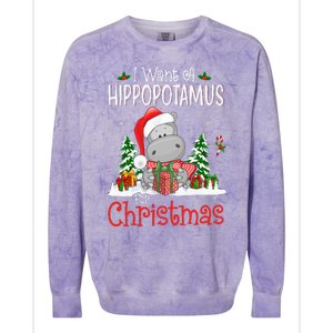 I Want A Hippopotamus For Christmas Xmas Hippo Colorblast Crewneck Sweatshirt