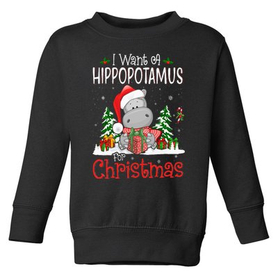 I Want A Hippopotamus For Christmas Xmas Hippo Toddler Sweatshirt