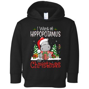 I Want A Hippopotamus For Christmas Xmas Hippo Toddler Hoodie