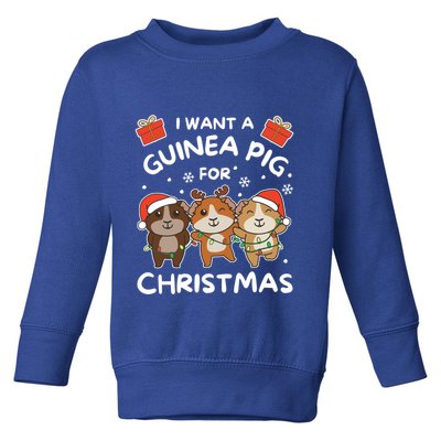 I Want A Guinea Pig For Christmas Cute Animals Gift Toddler Sweatshirt