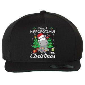 I Want A Hippopotamus For Christmas Cute Gift Xmas Costume Wool Snapback Cap