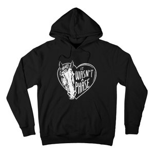 It WasnT A Phase Heart Horse Cute Gift Hoodie