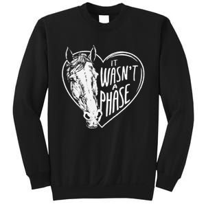 It WasnT A Phase Heart Horse Cute Gift Sweatshirt