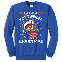 I Want A Rottweiler For Christmas Cute Dogs Great Gift Sweatshirt