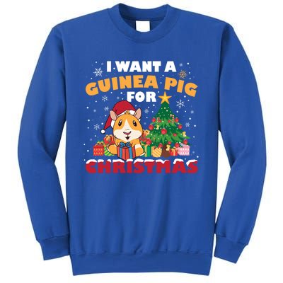 I Want A Guinea Pig For Christmas Gift Sweatshirt