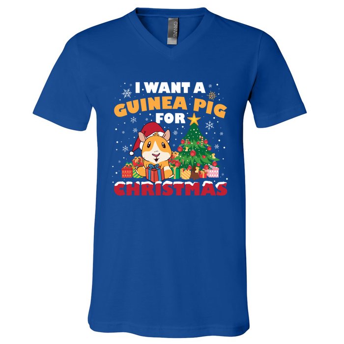 I Want A Guinea Pig For Christmas Gift V-Neck T-Shirt