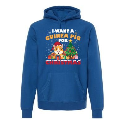 I Want A Guinea Pig For Christmas Gift Premium Hoodie