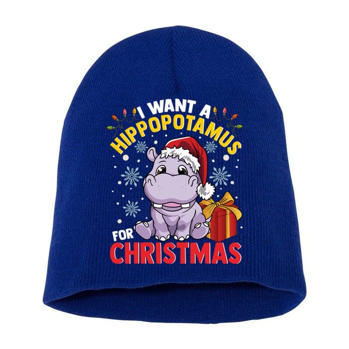 I Want A Hippopotamus For Christmas Gift Short Acrylic Beanie