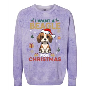 I Want A Beagle For Christmas Cute Dog Lover Family Pajama Meaningful Gift Colorblast Crewneck Sweatshirt