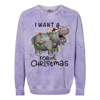 I Want A Hippopotamus For Christmas Cute Hippopotamus Lover Colorblast Crewneck Sweatshirt