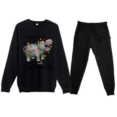 I Want A Hippopotamus For Christmas Cute Hippopotamus Lover Premium Crewneck Sweatsuit Set