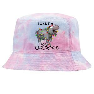 I Want A Hippopotamus For Christmas Cute Hippopotamus Lover Tie-Dyed Bucket Hat