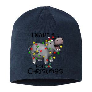 I Want A Hippopotamus For Christmas Cute Hippopotamus Lover Sustainable Beanie