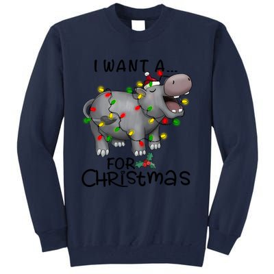 I Want A Hippopotamus For Christmas Cute Hippopotamus Lover Tall Sweatshirt