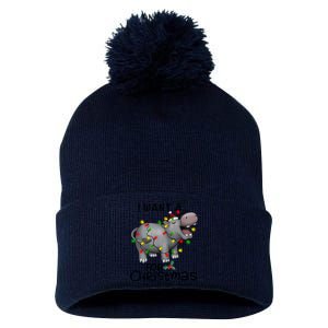 I Want A Hippopotamus For Christmas Cute Hippopotamus Lover Pom Pom 12in Knit Beanie