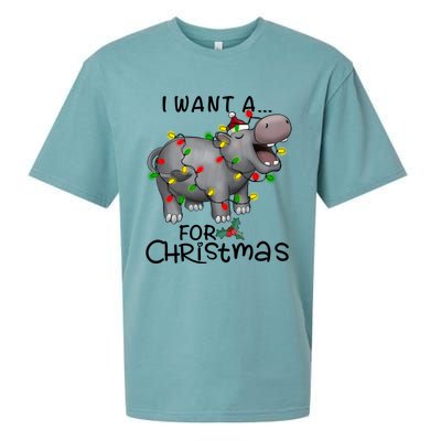 I Want A Hippopotamus For Christmas Cute Hippopotamus Lover Sueded Cloud Jersey T-Shirt