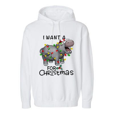 I Want A Hippopotamus For Christmas Cute Hippopotamus Lover Garment-Dyed Fleece Hoodie