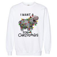 I Want A Hippopotamus For Christmas Cute Hippopotamus Lover Garment-Dyed Sweatshirt