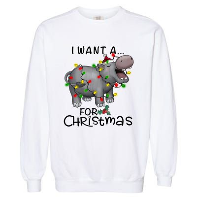 I Want A Hippopotamus For Christmas Cute Hippopotamus Lover Garment-Dyed Sweatshirt