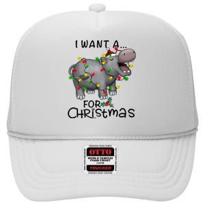 I Want A Hippopotamus For Christmas Cute Hippopotamus Lover High Crown Mesh Back Trucker Hat