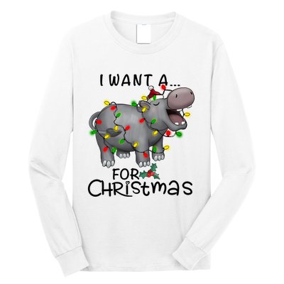 I Want A Hippopotamus For Christmas Cute Hippopotamus Lover Long Sleeve Shirt