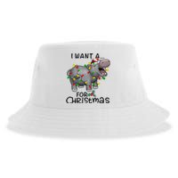 I Want A Hippopotamus For Christmas Cute Hippopotamus Lover Sustainable Bucket Hat