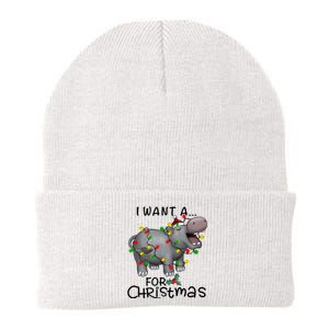 I Want A Hippopotamus For Christmas Cute Hippopotamus Lover Knit Cap Winter Beanie