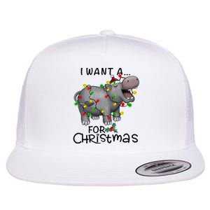 I Want A Hippopotamus For Christmas Cute Hippopotamus Lover Flat Bill Trucker Hat