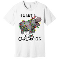 I Want A Hippopotamus For Christmas Cute Hippopotamus Lover Premium T-Shirt