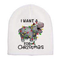 I Want A Hippopotamus For Christmas Cute Hippopotamus Lover Short Acrylic Beanie