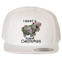 I Want A Hippopotamus For Christmas Cute Hippopotamus Lover Wool Snapback Cap