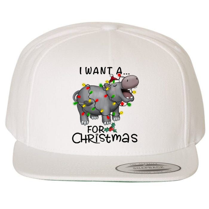 I Want A Hippopotamus For Christmas Cute Hippopotamus Lover Wool Snapback Cap