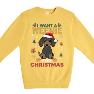 I Want A Weenie For Christmas Dachshund Dog Lovers Pajama Gift Premium Crewneck Sweatshirt