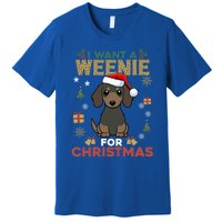 I Want A Weenie For Christmas Dachshund Dog Lovers Pajama Gift Premium T-Shirt