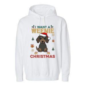 I Want A Weenie For Christmas Dachshund Dog Lovers Pajama Gift Garment-Dyed Fleece Hoodie