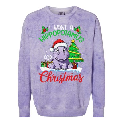 I Want A Hippopotamus For Christmas Xmas Hippo Lover Funny Colorblast Crewneck Sweatshirt