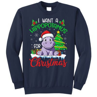 I Want A Hippopotamus For Christmas Xmas Hippo Lover Funny Sweatshirt