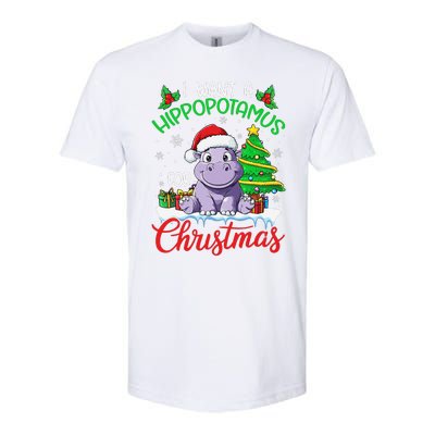 I Want A Hippopotamus For Christmas Xmas Hippo Lover Funny Softstyle CVC T-Shirt