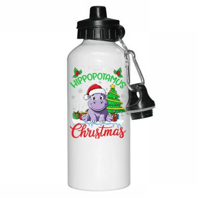 I Want A Hippopotamus For Christmas Xmas Hippo Lover Funny Aluminum Water Bottle