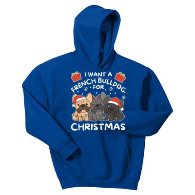 I Want An French Bulldog For Christmas Cute Dogs Gift Kids Hoodie